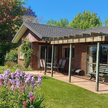 Dewdrop Cottage Hastings Zewnętrze zdjęcie